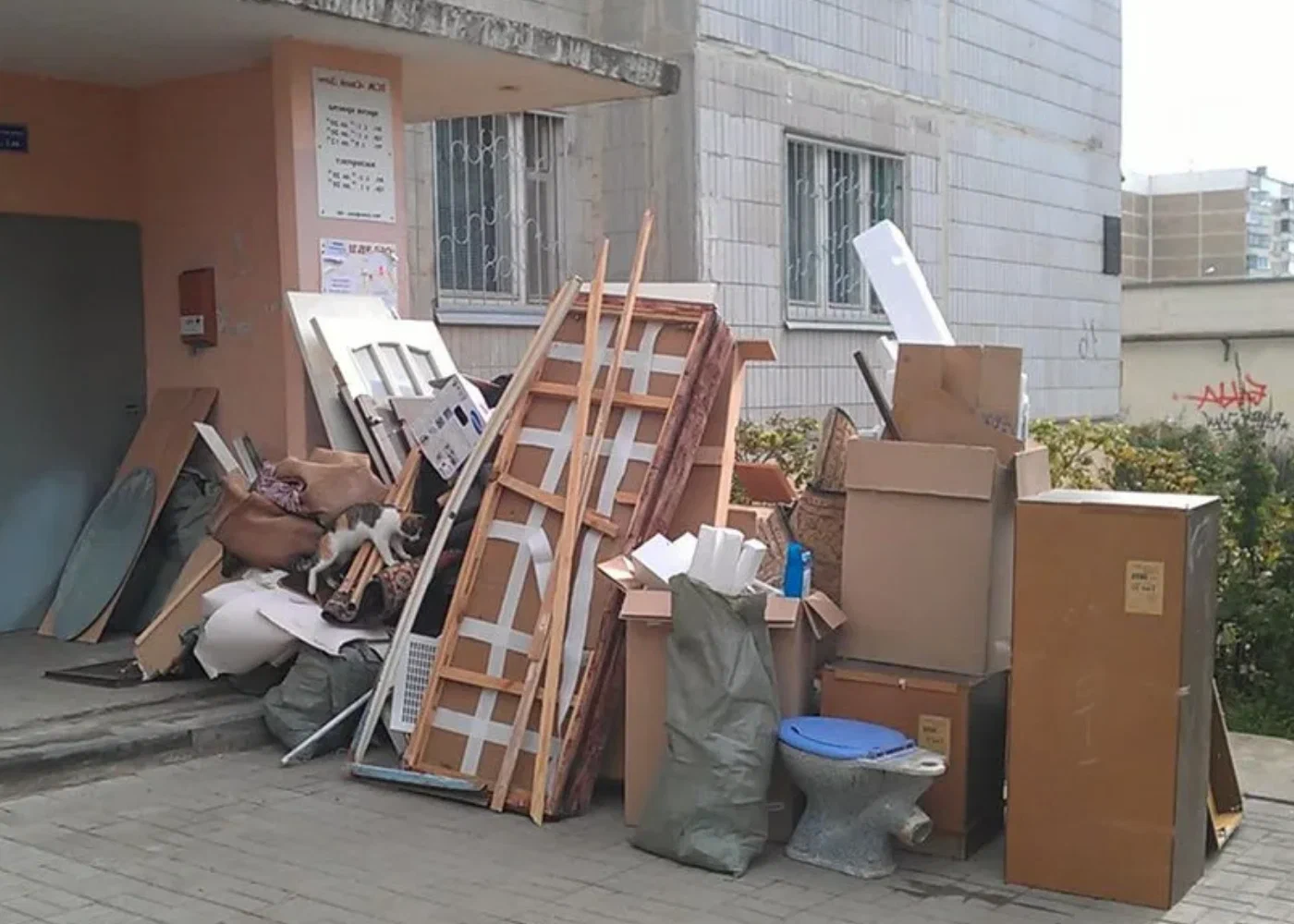 Профессиональный вывоз мусора из квартиры в Самаре в октябре