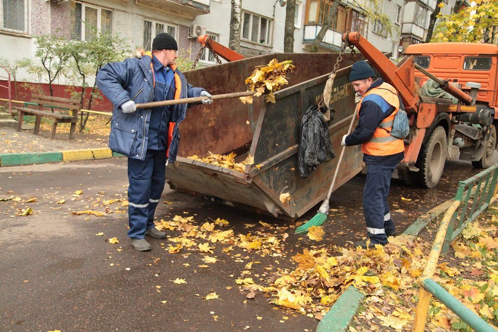 Вывоз опавшей листвы и растительного мусора в Самаре от ПроМусор – цена от 4548 руб., быстрая уборка и утилизация